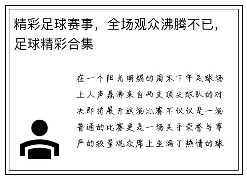 精彩足球赛事，全场观众沸腾不已，足球精彩合集