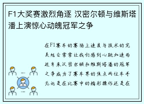 F1大奖赛激烈角逐 汉密尔顿与维斯塔潘上演惊心动魄冠军之争